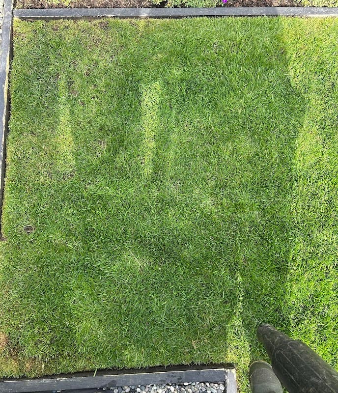 The Vancouver Lawn Care Crew, photograph 3 of West End