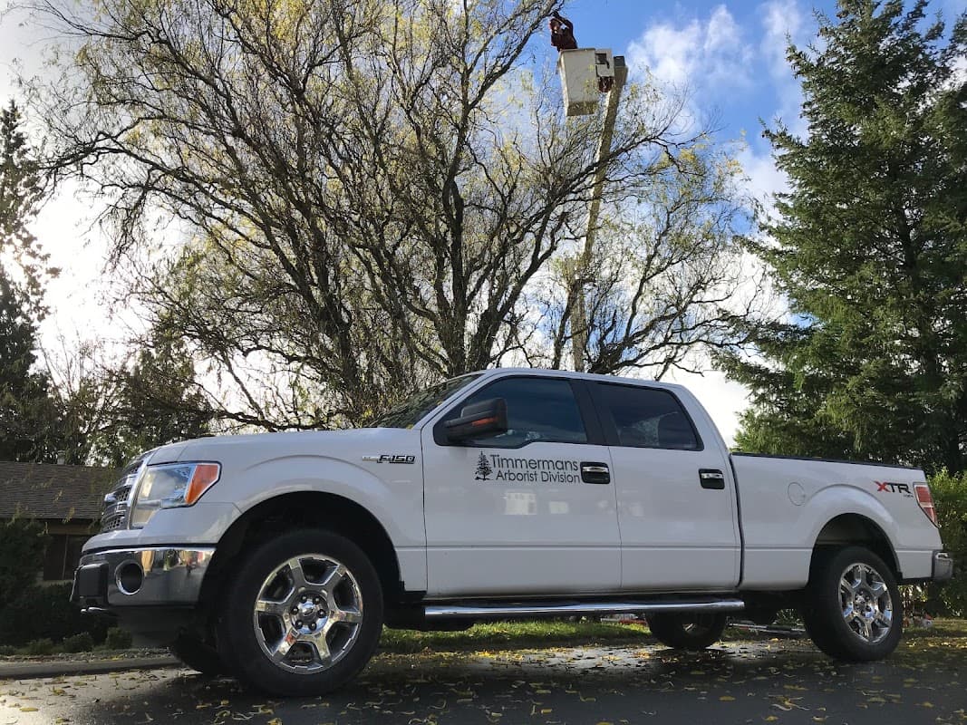 Timmermans Tree Service, photograph 3 of Abbotsford