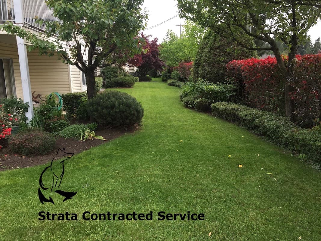 landscaping by Top Fox Landscaping in Cloverdale