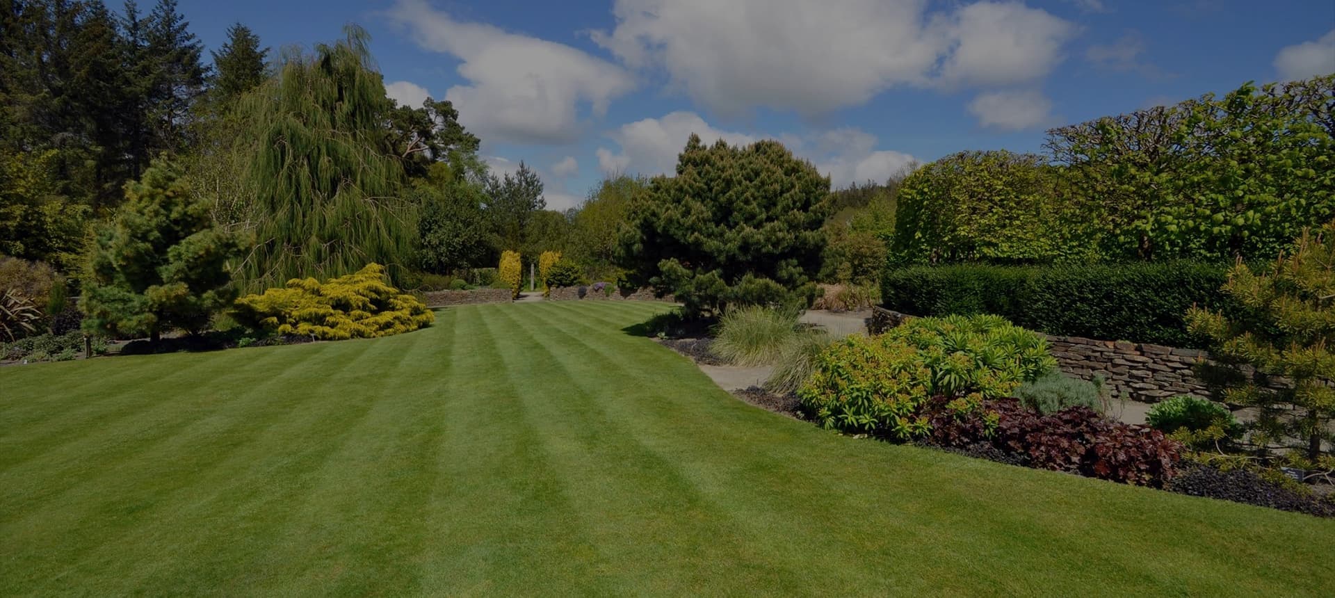 Top Fox Landscaping, photograph 6 of Cloverdale