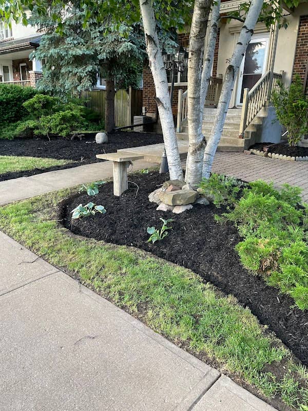 Top Notch Lawn Care, photograph 2 of South Surrey