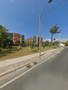 Toronto Lawn Mowing Solutions, photograph 4 of Islington-City Centre West