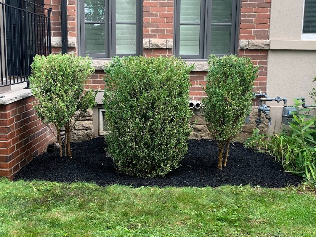 landscape design by Toronto Property Solutions Ltd in Don Mills