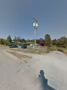 Tree Brothers LTD, photograph 4 of New Westminster