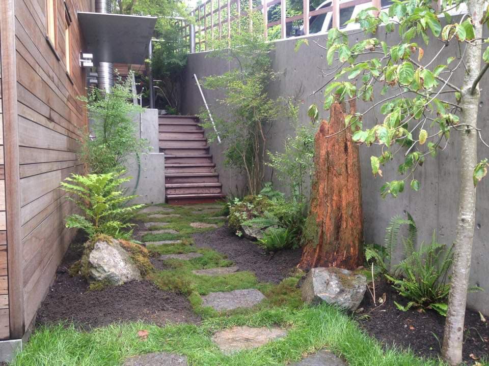 landscaping by Treewisemen Landscaping Ltd. in Abbotsford