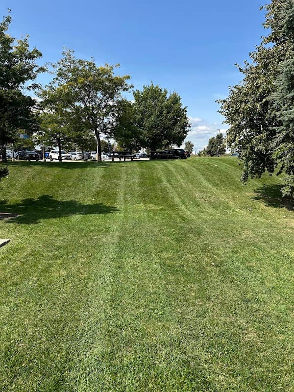 landscaping by True north Landscape management in Brampton
