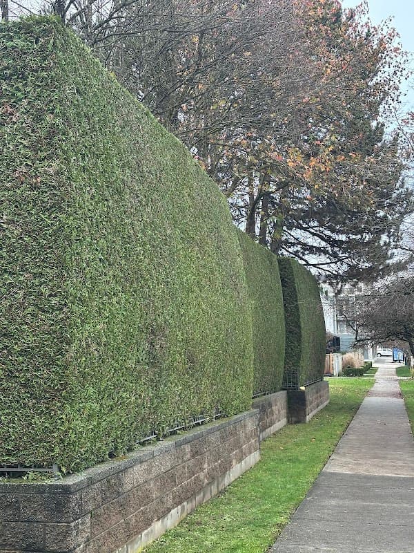 lawn care by True North Lawn Care in Metrotown