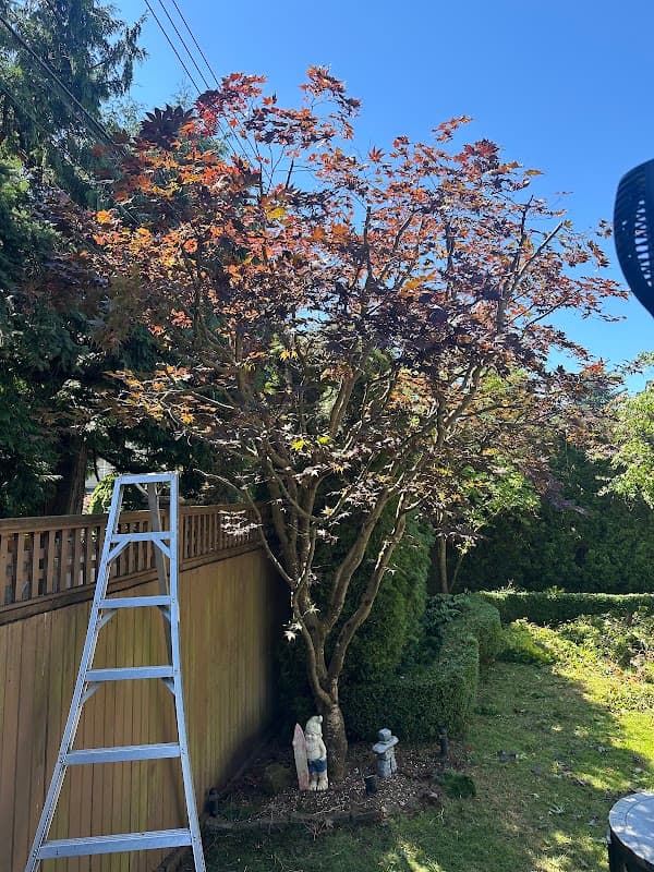 True North Lawn Care, photograph 2 of Metrotown