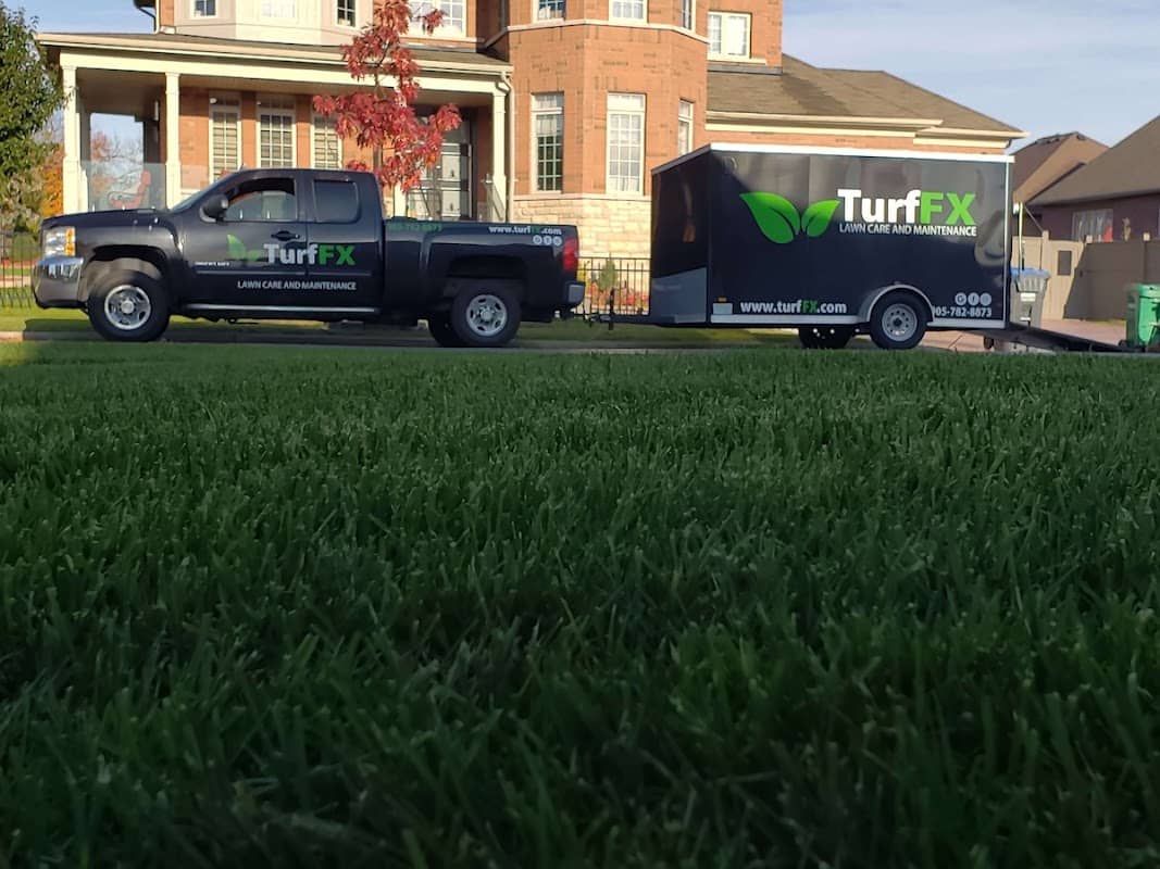 lawn care by Turf FX Lawn Care in Islington-City Centre West