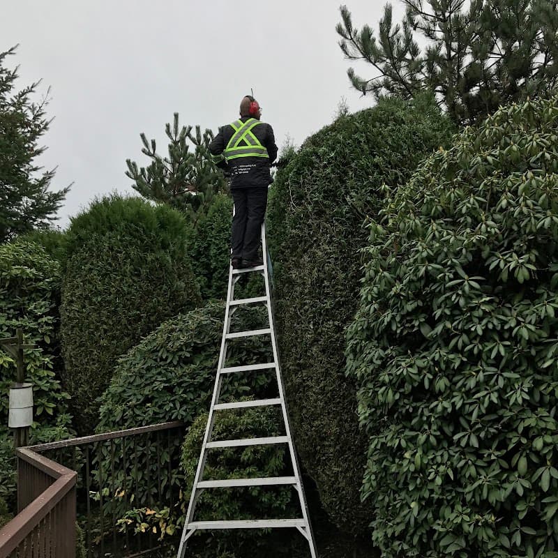 Turf Guys Landscaping Limited, photograph 3 of Metrotown