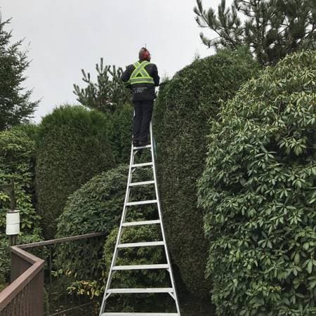 Turf Guys Landscaping Ltd, photograph 3 of White Rock