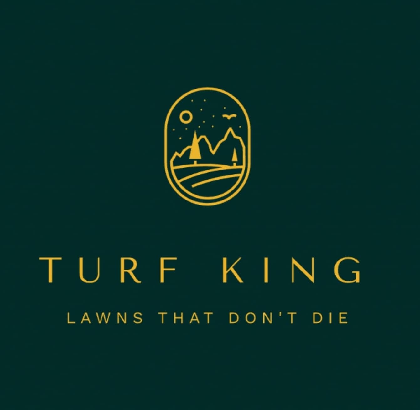 Turf King Artificial Grass & Turf Installation Langley, photograph 3 of Maple Ridge