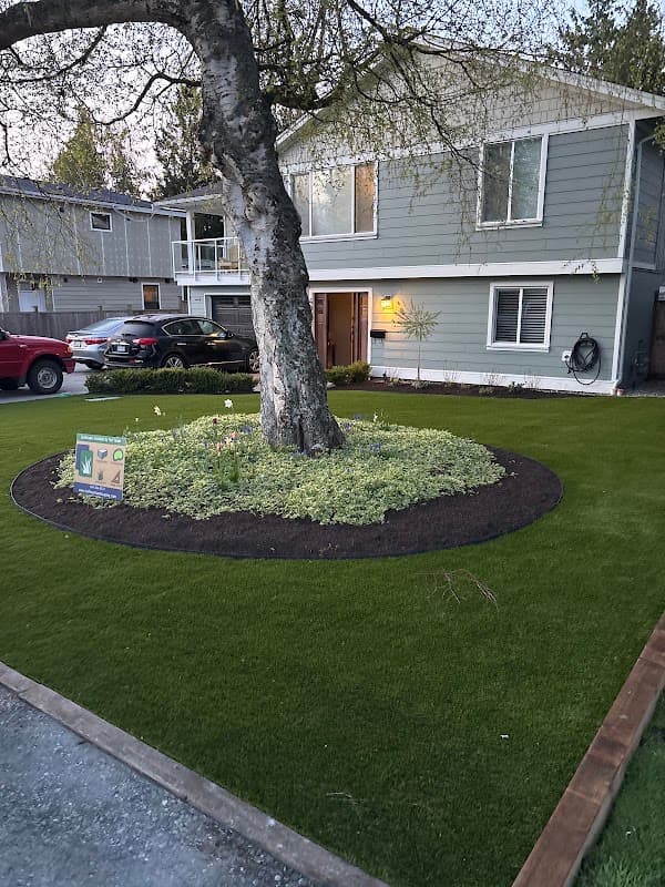 Turf Team Landscaping & Artificial Turf Solutions, photograph 2 of Metrotown