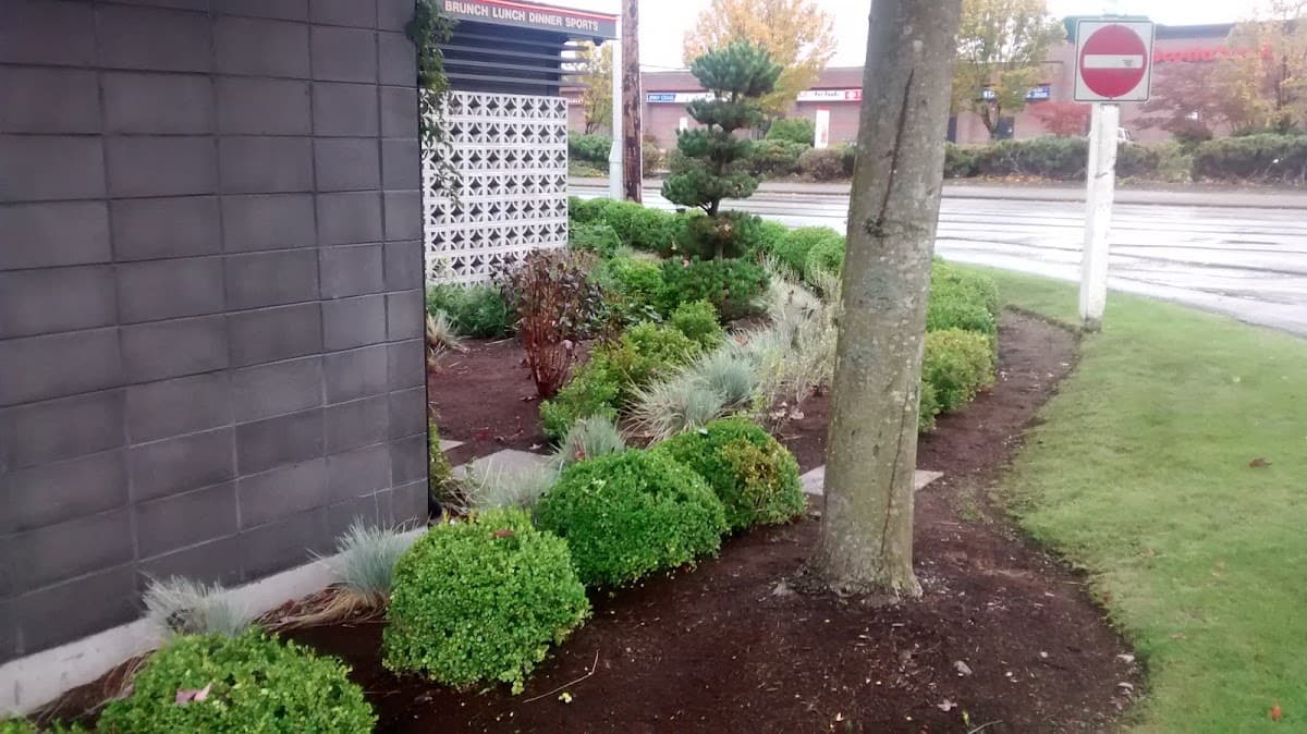 TurfBoys Lawn & Landscape , Spring Clean Ups ,Lawn Repairs , New Lawns Installed , Aeration . Fertilizer and More ., photograph 3 of Cloverdale