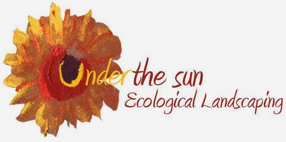landscaping by Under the Sun Ecological Landscaping Inc. in The Danforth (Greektown)