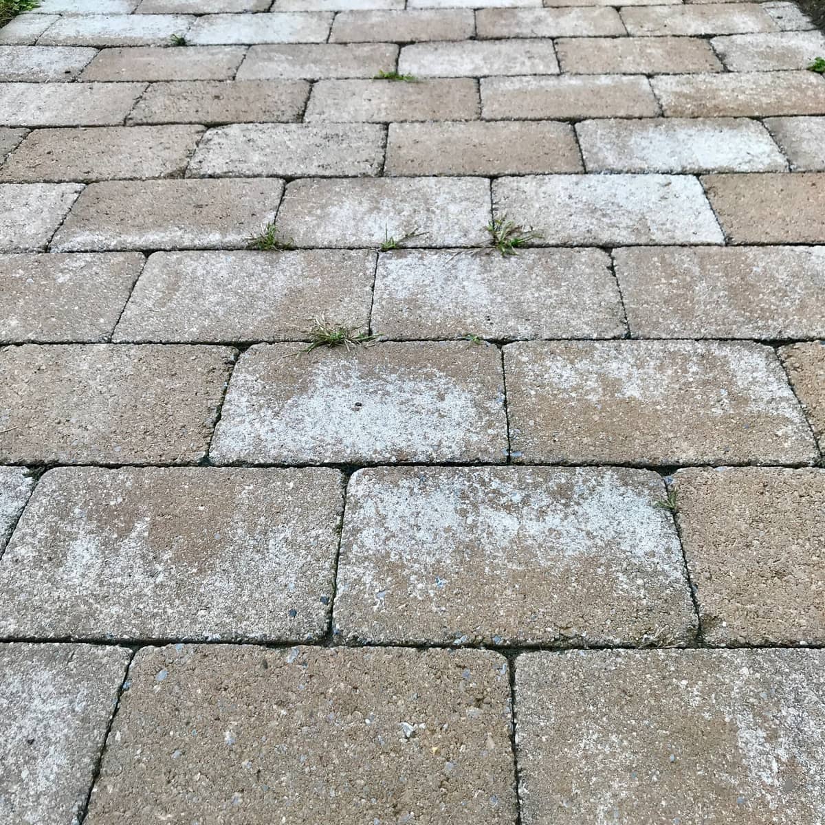URL Landscaping, photograph 3 of Don Mills