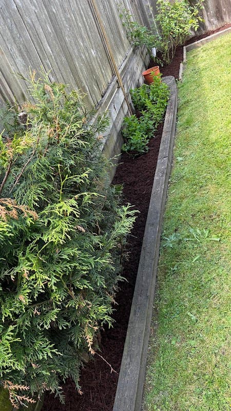landscaping by Vancouver Landscaping Inc in Metrotown