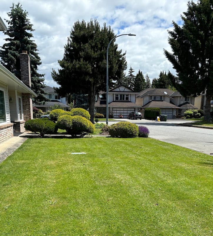 Vancouver Landscaping Inc, photograph 2 of Metrotown