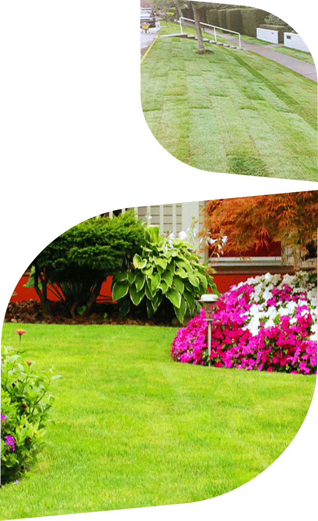 Vancouver Landscaping Inc, photograph 3 of Metrotown