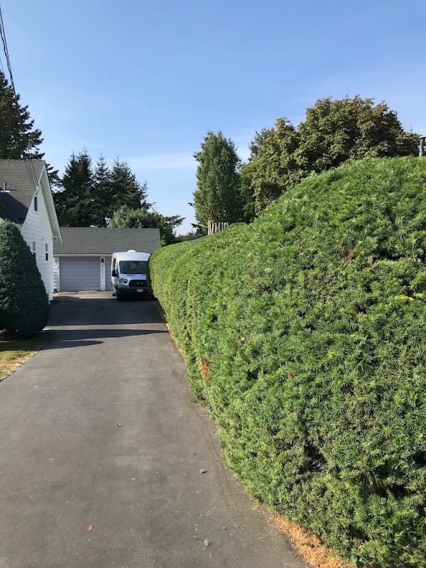 landscaping by Vans Mowing & Landscape in Cloverdale