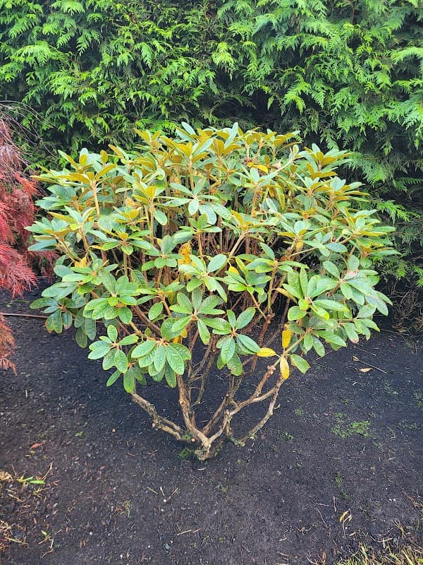 Verdant Minds Landscaping, photograph 2 of Surrey