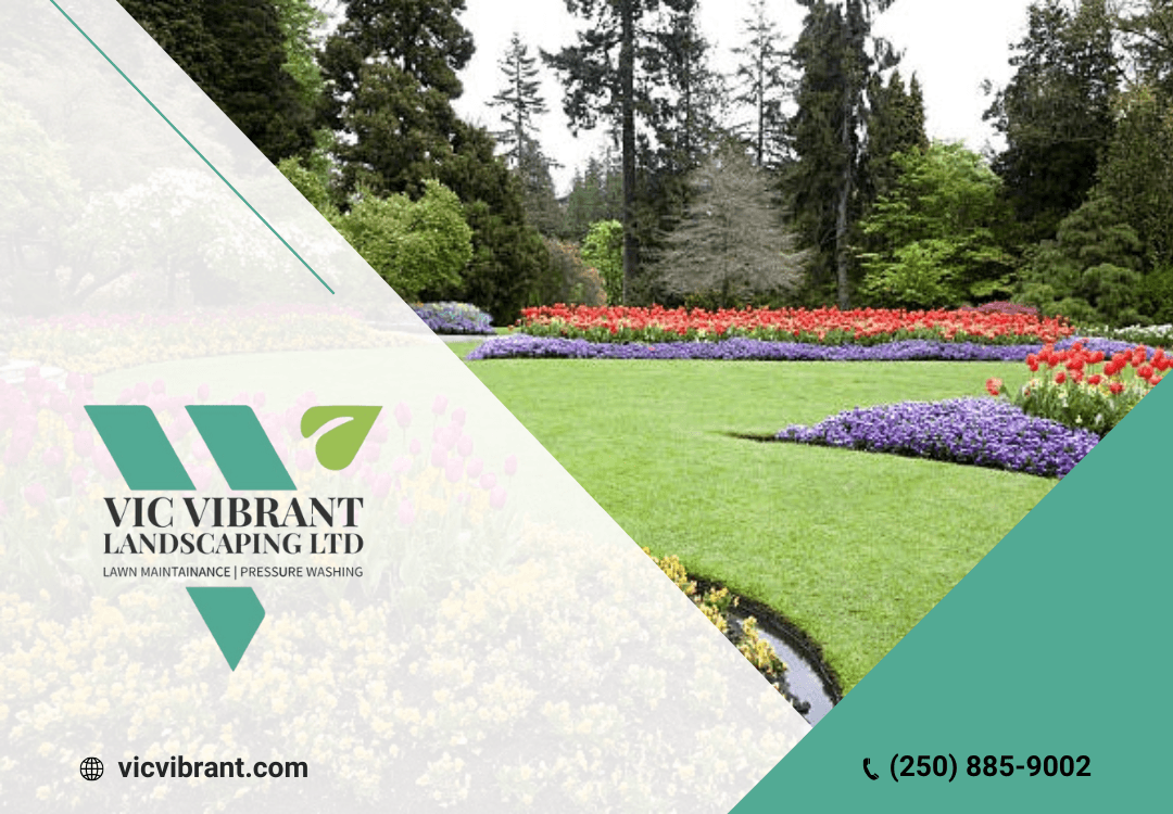 landscaping by Vic Vibrant Landscaping LTD. in Tsawwassen