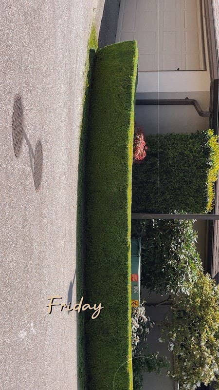 Vista Landscape Services Ltd., photograph 2 of Cloverdale