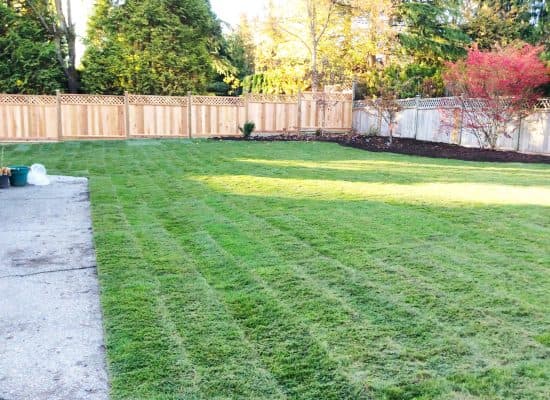 Vista landscaping, photograph 4 of Cloverdale