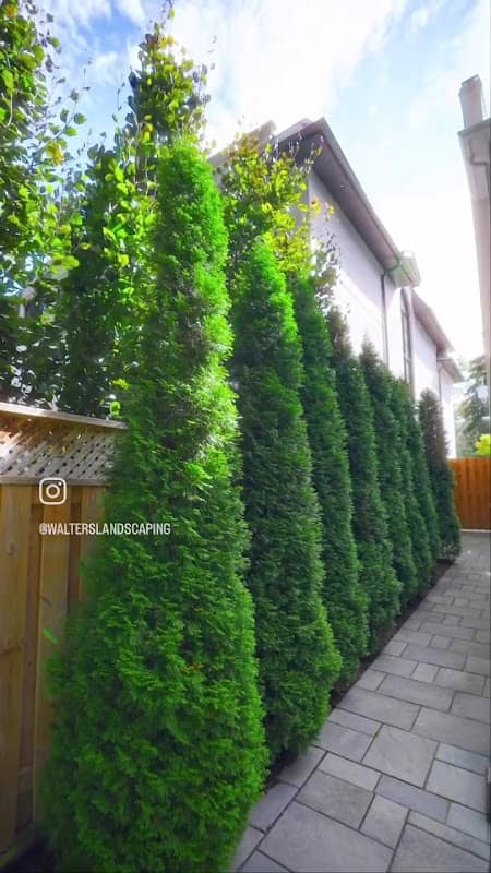 Walter's Landscaping, photograph 4 of Agincourt