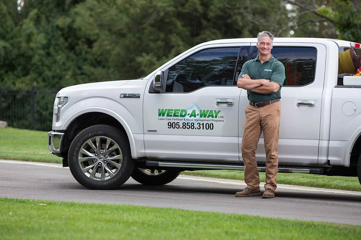 lawn care by Weed Away Lawn Care in Islington-City Centre West
