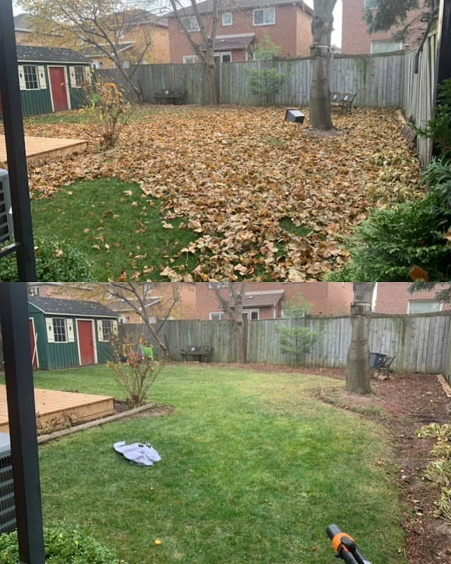 lawn care by Wideman Property Maintenance Inc in Islington-City Centre West