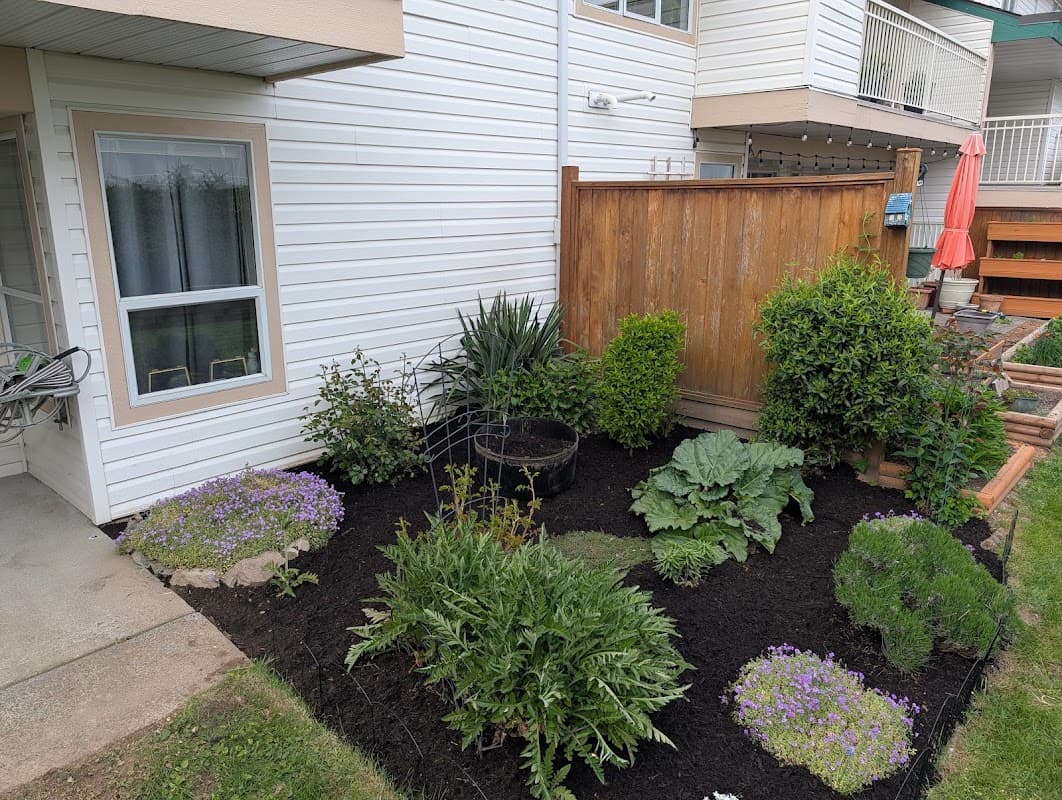 lawn care by Willy's Landscaping Services in Abbotsford
