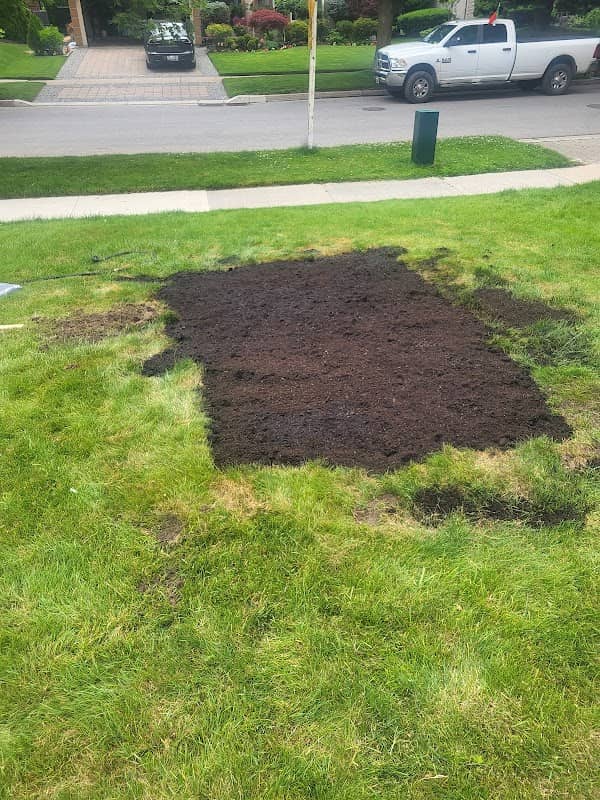 Wynter Landscaping and Handyman Mississauga, photograph 2 of Mississauga