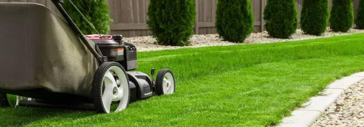 Xtreme Landscaping Inc - Lawn care / Window Cleaning / Snow Plowing, photograph 2 of Brampton