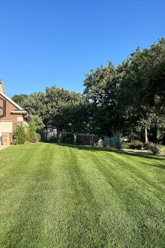 lawn care by Yard Heroes in Brampton