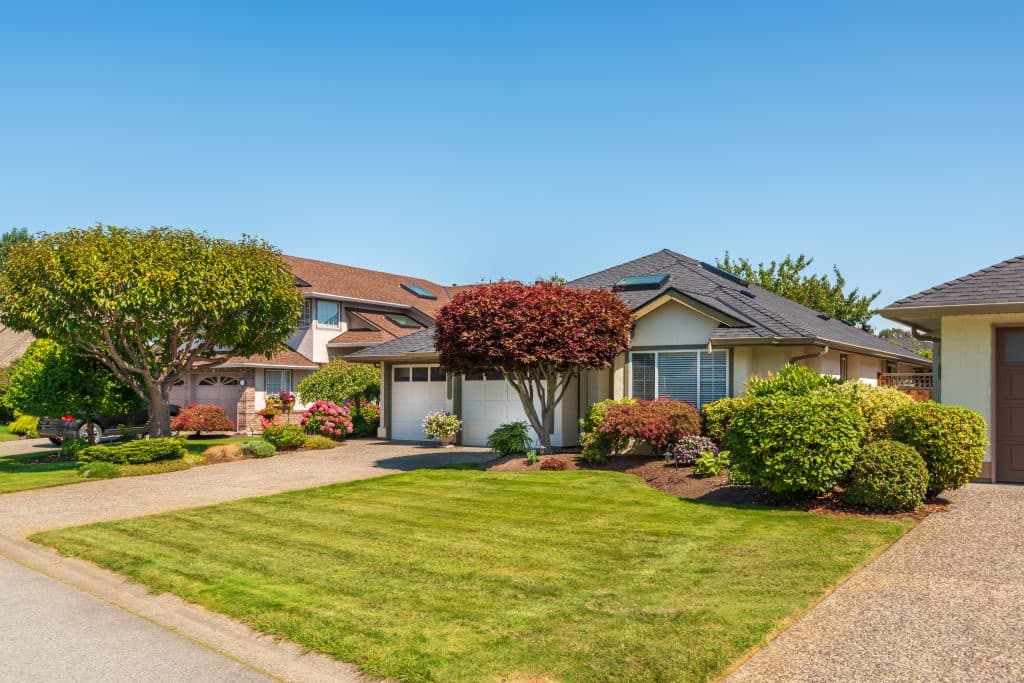 Yellow Jacket Landscaping LTD., photograph 4 of Cloverdale
