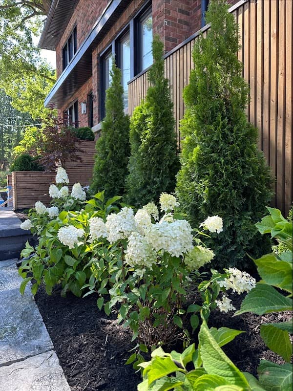landscaping by Zing Landscaping & Design in Leslieville
